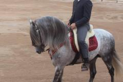 ccf45e04-3aae-4c9d-9f25-1f52ec6121ab