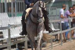 e09b3964-70ec-4920-9957-90ef87f7b931