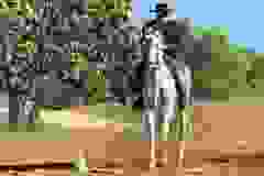 403112556_122124744968056477_3632855823338528712_n