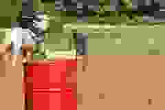 403984259_122124744908056477_6835072961051905091_n