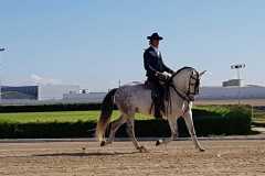 3c3c7983-bec0-45eb-bf58-e5e74fe038c6