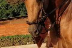 42c24add-a6fc-4886-a2cc-850c81cb8ffa