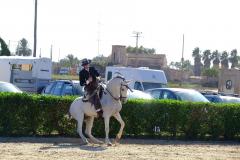 6e276f38-f9a7-45b8-841c-698fe9f2318c