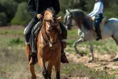 847bb691-6910-444f-85ff-178d98894123