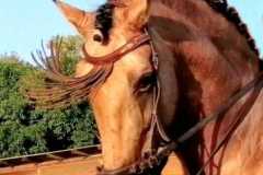 8f4a68bb-0750-4756-bb40-27515f548c78