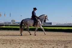 aba4980e-0af5-4699-8fd7-5b1ebe82eaee