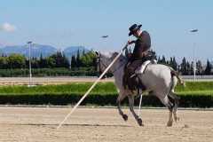 b0db9a47-67eb-46c2-ada8-59bf820b9339