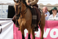 b6717239-816f-471f-b212-b4d44715e667