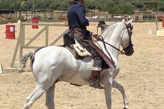 46c17e8f-739d-4294-a38f-8beaa430b7b4