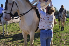 050b22ac-9495-4753-a936-ded45dbe4d73