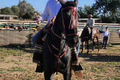 0ef07e2f-20d0-4e12-8dc4-e125bab12657