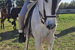 11d77a4f-d86c-4c56-a261-2fe037683cd6