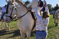 183161eb-359d-4900-b13c-e601a51b99d3