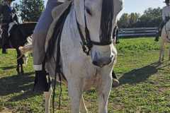 23b7cf05-3f9a-4519-8296-e082de7357cf