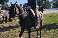 3615674b-6bc5-4f0e-ba56-ca221d4354e5