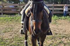 73c1a739-bf75-4a18-bf58-3172feadd68b