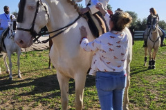 8148995d-d800-4e2e-802a-2e3fb0fa648f