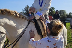 8b502496-1ac8-41d9-b1b9-ff46957b97e1