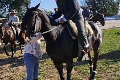 93dc1c34-9639-479b-8df9-85b404ff6115