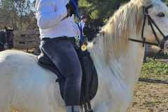 b504b9d4-c816-456e-b420-4227bad9070b