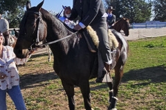 cb3fb30c-01a6-4f7a-b6fd-03cb47a46806