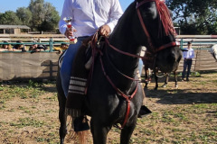 e5dcec76-a9e0-455f-9f74-ba40754180ba