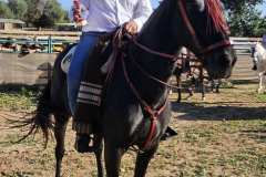 e712435c-d49c-4387-97cd-61be5991e66c