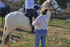 ebb26c05-c8e3-4a5c-9c95-4bb8ffc17716