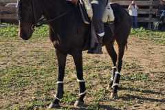 f1d5bae9-8394-477e-8154-8b778ab2526c