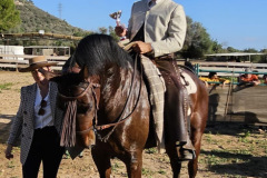 f319720a-b964-4516-a746-c8607372e45b