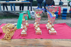 2b938287-7c13-4c31-bdbd-5033b7c2b362