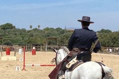 34efd612-1849-4f43-8739-aaea01acb648-copia