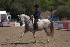 6d3d0d23-95ce-4b32-b53f-f12bc70b7cec-copia