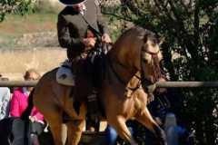 d464442a-0250-4d8c-8ef0-d5275cde9c55-copia