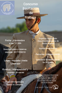 Equitación Trabajo 2 de Nov 24