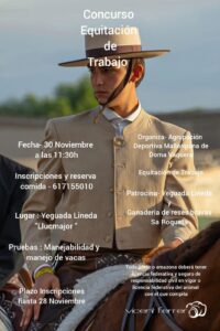 Manejabilidad 30Nov2024